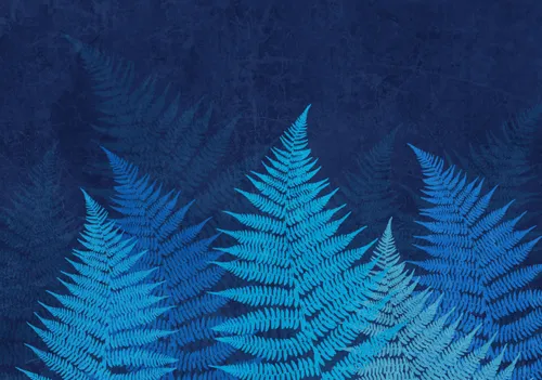 Тропики, Папоротник, Кустарник, Листья