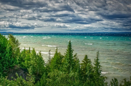 лес, океан, облака, зеленые, волны, синие, серые