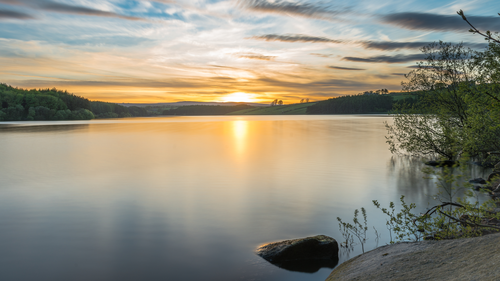 озеро, отражение, вода, природа, серые, желтые
