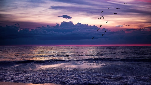 небо, облака, птицы, море, горизонт, волны, фиолетовые