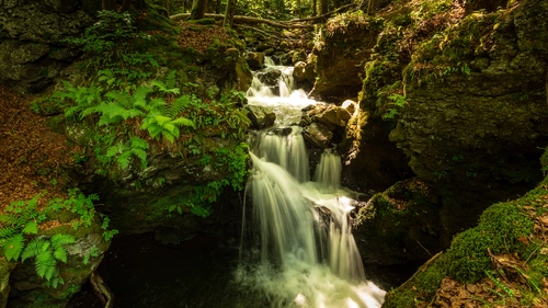 водопад, лес, природа, деревья, зеленые