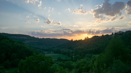 природа, лес, деревья, зеленые, листва