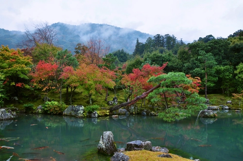 река, горы, лес, япония, зеленые, желтые, белые