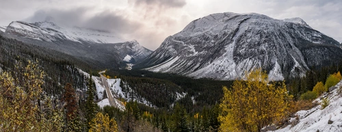 лес, гора, природа, снег, зима, панорама, белые, зеленые, серые