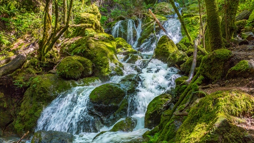 камни, река, водопад, зеленые, белые, природа