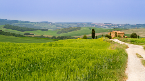 поле, дорога, природа, зеленые, синие