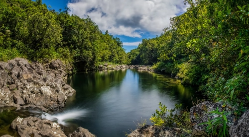 река, франция, природа, лес, деревья, зеленые, синие