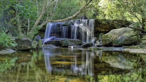 водопад, отражение, лес, коричневые, зеленые, природа
