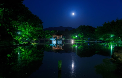 луна, ночь, отражение, природа, озеро, черные, зеленые, темные