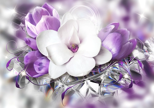 растения, цветы, блеск, букет, лепестки, белые, фиолетовые