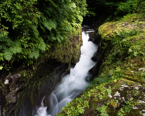 река, горы, природа, скалы, мох, япония, зеленые, черные