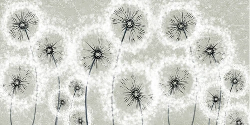 одуванчики, рисунок, серые, белые