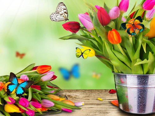 цветы, тюльпаны, бабочки, красные, зеленые, белые, синие, коричневые
