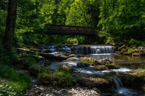 природа, лес, деревья, мост, река, камни, трава, зелёные, коричневые