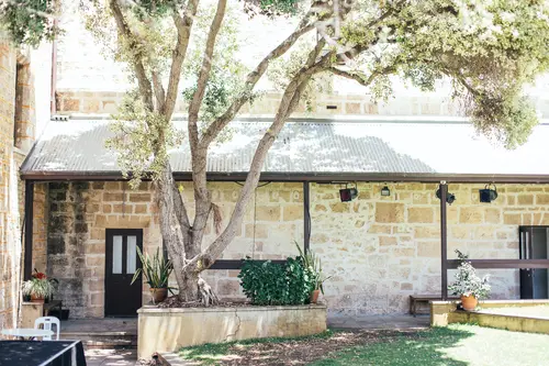 дом, стена, дерево, зелень, растительность, светлые, желтые