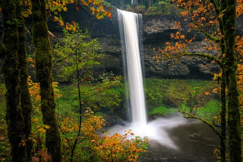 река, лес, природа, камни, коричневые, белые, желтые, осень