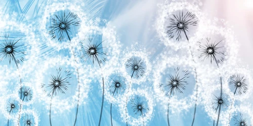 одуванчики, рисунок, синие, голубые, белые, розовые