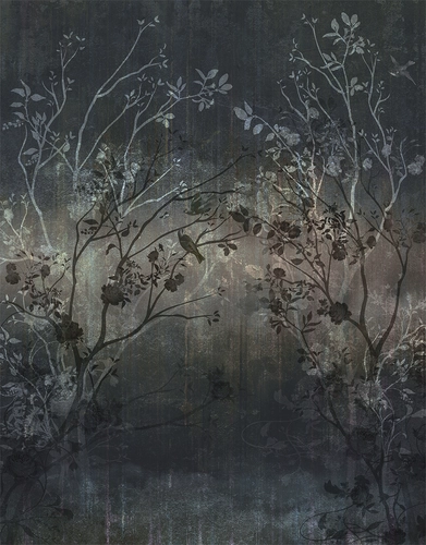 ветки, деревья, темные, черные, серые, цветы, HD