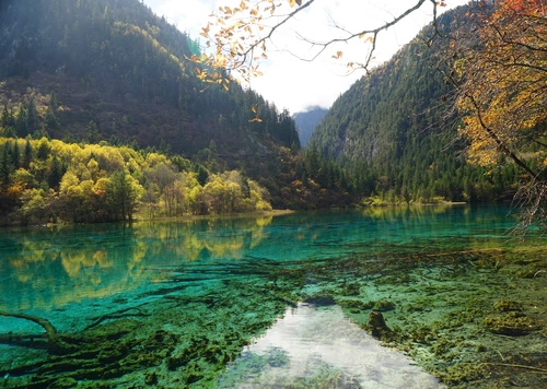 озеро, горы, лес, зеленые, осень, голубые