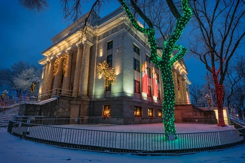 дерево, гирлянда, ночь, снег, зеленые, город, бежевые