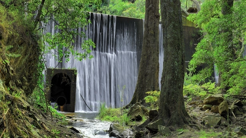 водопад, дерево, коричневые, зеленые, вода, река, природа