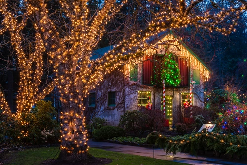 дерево, гирлянда, праздник, желтые, ночь