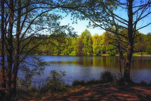 озеро, лес, природа, осень, синие, коричневые