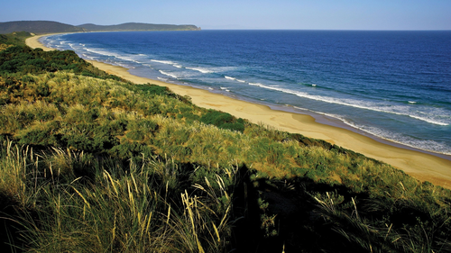 небо, горизонт, море, берег, песок, деревья, лес, кусты, зелёные, голубые
