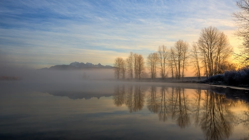 туман, закат, лес, деревья, озеро, белые, оранжевые