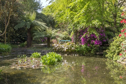 сад, пруд, отражение, природа, англия, коричневые, зеленые