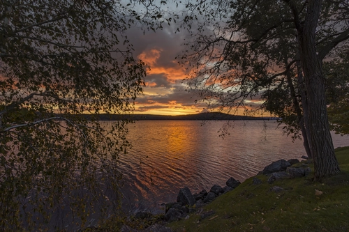 закат, река, дерево, силуэт, черные, фиолетовые