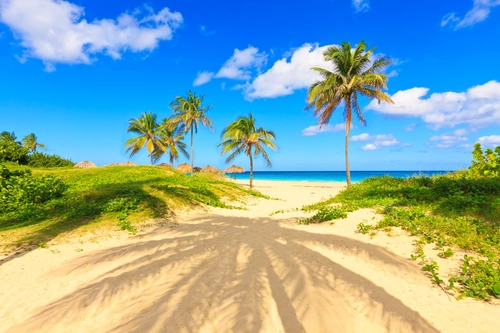 остров, пляж, пальма, природа, синие, голубые, зеленые