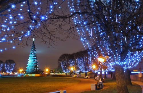 зима, парк, ночь, гирлянда, синие, серые