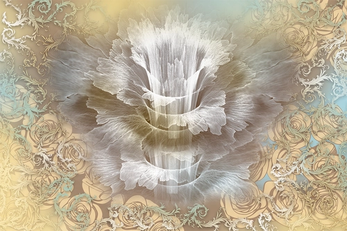 узоры, лепестки, цветы, розы, абстракция, бежевые, белые