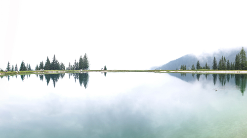 озеро, берег, отражение, деревья, зеленые, белые