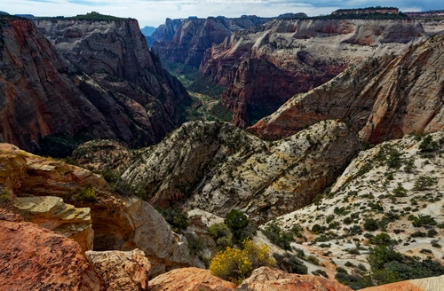 каньон, лес, долина, природа, скалы, желтые, бежевые, коричневые