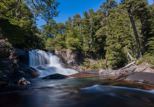 река, природа, лес, аргентина, зеленые, синие