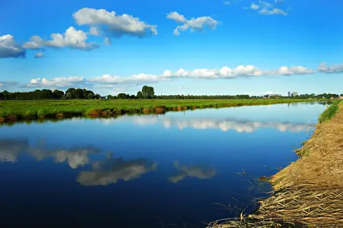 поле, город, река, зелень, деревья, растительность, отражение, голубые