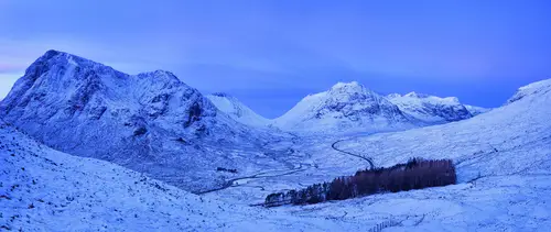 лес, горы, вечер, снег, голубые, темные