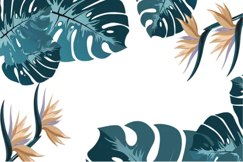 листья, растительность, зеленые, белые, светлые, оранжевые