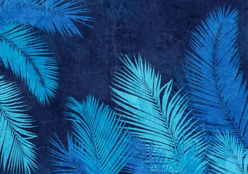 Тропики, Папоротник, Кустарник, Листья