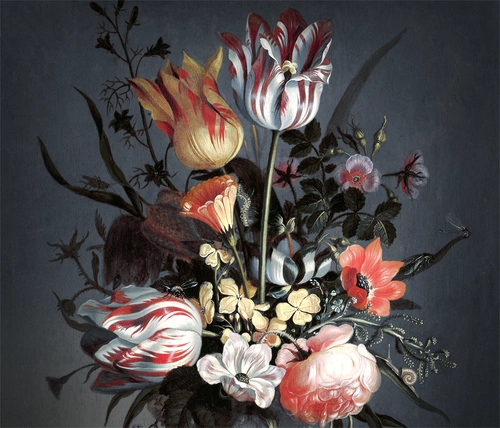 растения, цветы, букет, листья, серые, розовые