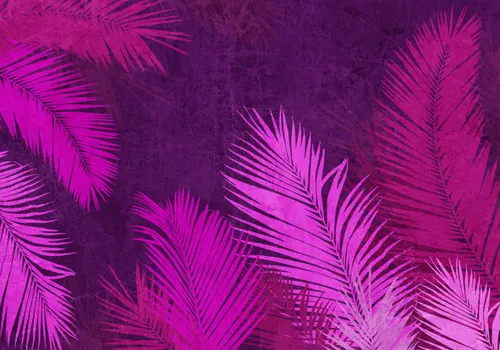 Тропики, Папоротник, Кустарник, Листья