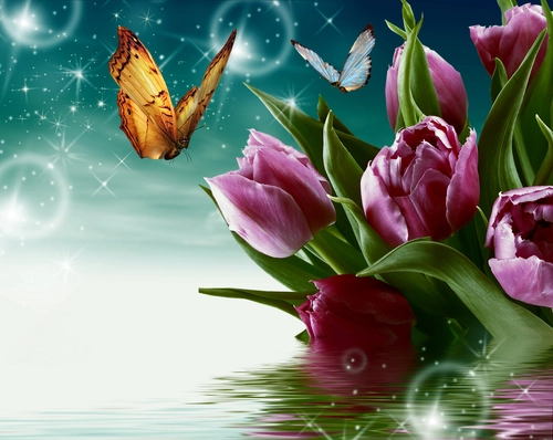 цветы, отражение, бабочка, звезды, белые, сиреневые, зеленые