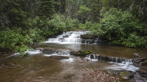 водопад, джунгли, лес, природа, зеленые, коричневые