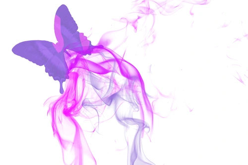 бабочка, бабочки, насекомые, абстрактные, абстракция, белые, розовые, сиреневые