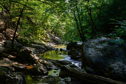 камни, ручей, лес, деревья, черные, зеленые, серые