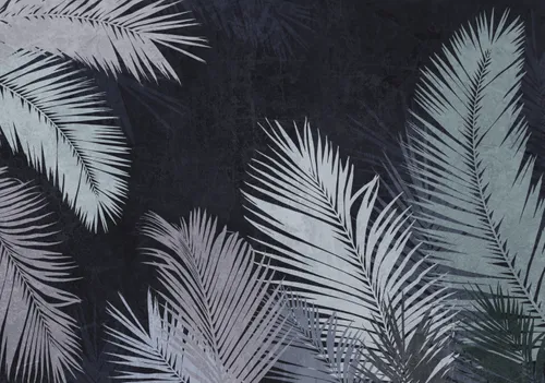 Тропики, Папоротник, Кустарник, Листья