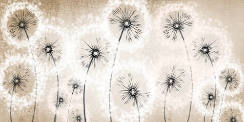 одуванчики, рисунок, коричневые, бежевые, белые