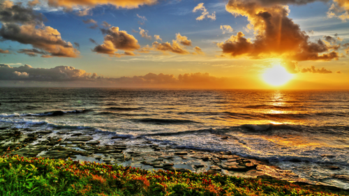 закат, море, солнце, океан, желтые, зеленые